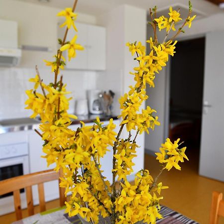 L'Oree Du Pichier Boisset  Pokoj fotografie